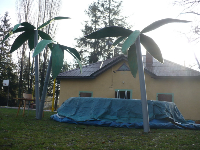 P1060887_resize.JPG